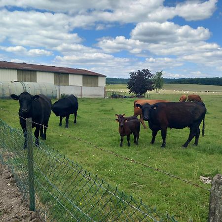 Relais De La Mothe La Suite Vrécourt Esterno foto